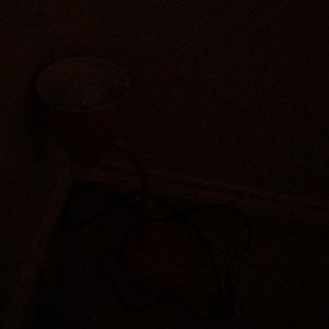 Meet your Posher, Rodrick